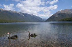 lake rotoiti